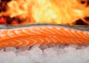Oily Fish helps the brain